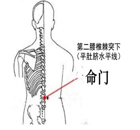 大雪节气，中医养生有“妙方”！-第21张图片-天天中医网