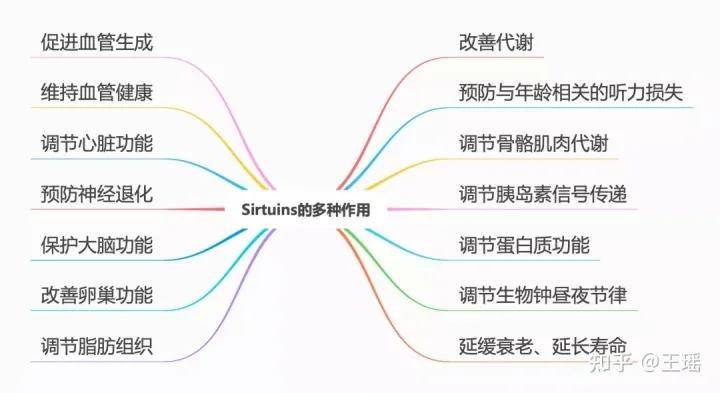 中国抗衰老研究中心任一萍：引领经典中医药文化“走出去” 实现中西化抗衰老-第4张图片-天天中医网